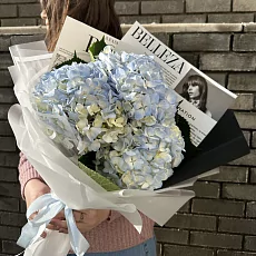 3 Голубые гортензии