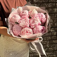 Букет из 9 розовых пионов 