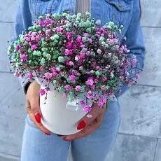 Букет живых цветов с цветной гипсофилой в нежной шляпной коробке