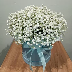 Белоснежная гипсофила в коробке