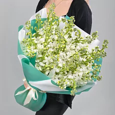 35 Белых Маттиол в упаковке