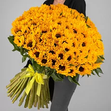 Букет солнечный 151 подсолнух