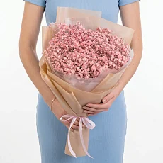 9 Розовых Гипсофил