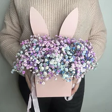 Коробка с ушками и гипсофилой