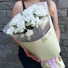 5 Кустовых хризантем в упаковке 