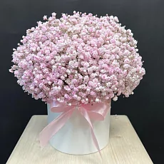 Нежная розовая гипсофила в шляпной коробке 