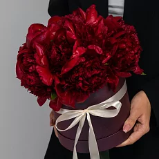11 Красных Пионов в коробке