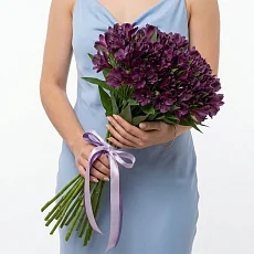 25 Лиловых Альстромерий