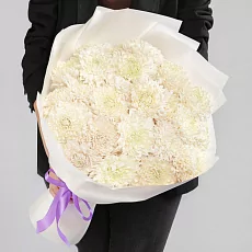  25 Хризантем