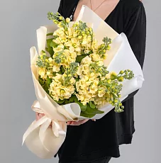 11 Желтых Маттиол в упаковке