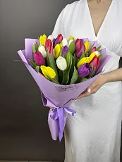 25 Разноцветных тюльпанов