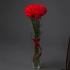 15 Красных Гвоздик