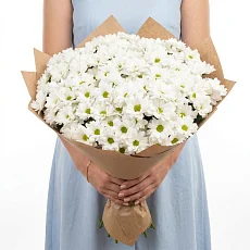 Букет из 25 хризантем в крафте