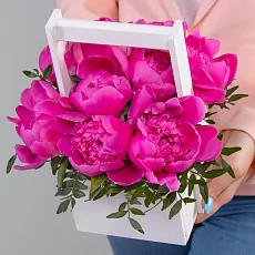 9 Малиновых Пионов в ящике