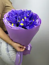 Букет живых цветов из 11 Ирисов