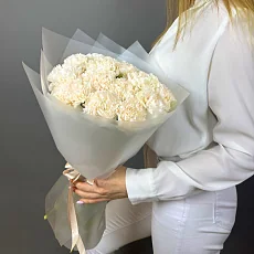 15 Кремовых диантусов