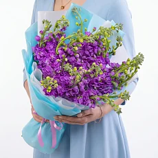 19 Фиолетовых Маттиол в упаковке