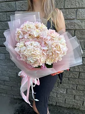 3 Гортензии в дизайнерской упаковке 