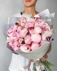 25 Пионов Сара Бернар в упаковке