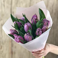 11 Сиреневых Тюльпанов