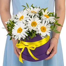 9 Крупных Ромашек в коробке