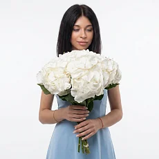 5 белоснежных гортензий