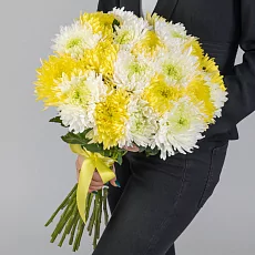 19 Бело-Желтых Игольчатых Хризантем