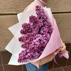 Композиция из сирени