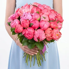 35 Коралловых Пионов