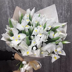 25 Белых Ирисов в упаковке 