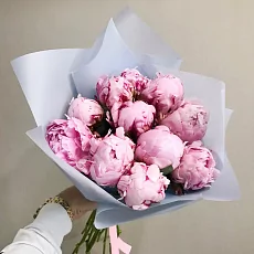 11 пионов Сара Бернар