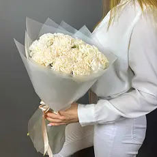 15 Кремовых диантусов