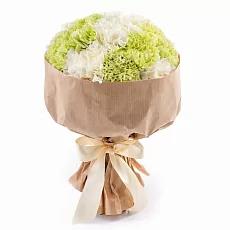 15 Снежных и Зеленых Гвоздик