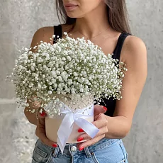 Гипсофила в коробке Белого цвета