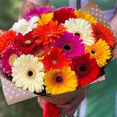 Букет из разноцветных Гербер Mix