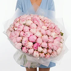 101 Пион Сара Бернар в упаковке