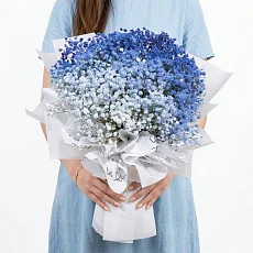 15 Синих Гипсофил