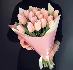 19 Нежных Тюльпанов