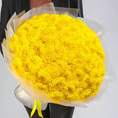 101 Желтая Хризантема