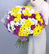 Букет из 25 хризантем микс в упаковке