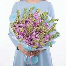35 Розовых Маттиол в упаковке