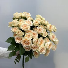 11 Кремовых кустовых роз