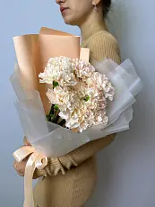 Букет живых цветов из 9 диантусов оформленный в дизайнерскую упаковку