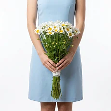 35 Крупных Ромашек