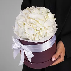 Композиция из Гортензий в коробке