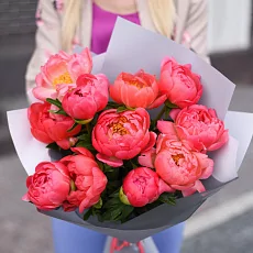 11 Коралловых Пионов в упаковке