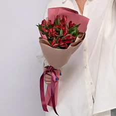  5 Красных Альстромерий в упаковке 