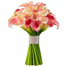  Бело розовая Калла 35 шт