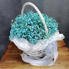  Бирюзовая Гипсофила в корзине