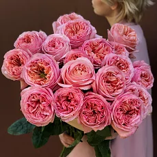 19 Роз Пинк Экспрешн